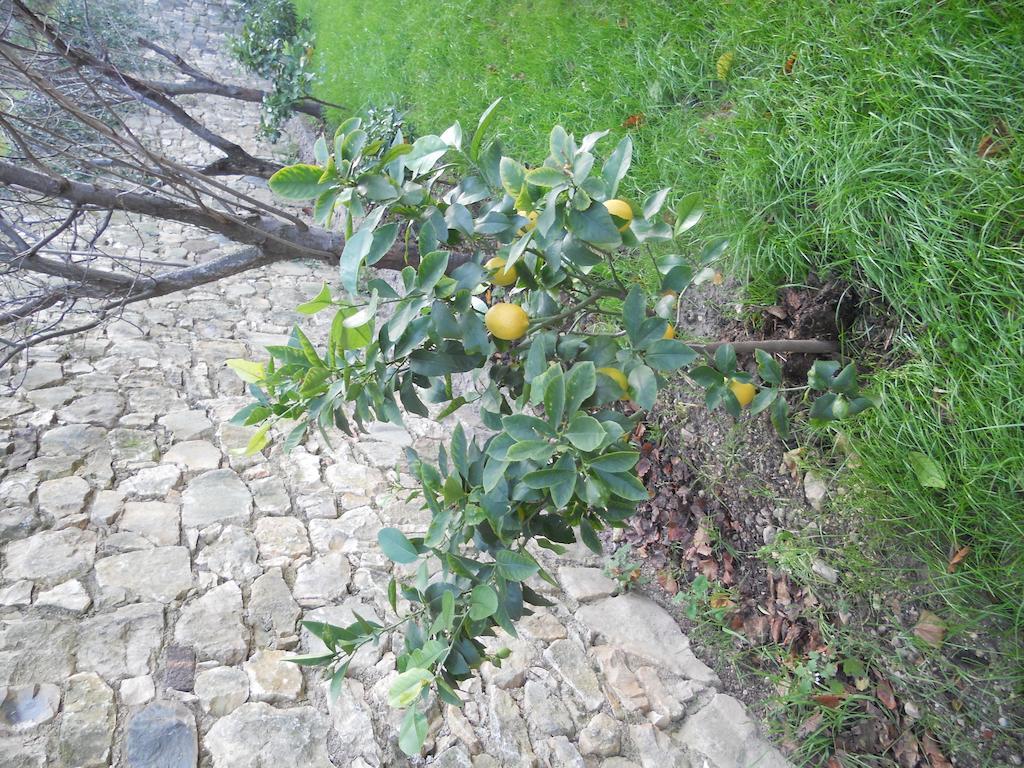 Casa Maya Brenzone sul Garda Eksteriør bilde